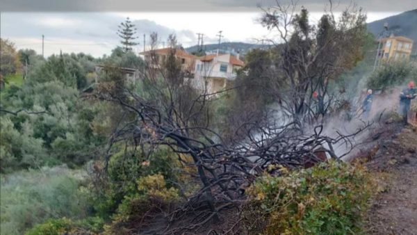 Άναψαν φωτιές οι ισχυροί νοτιάδες στην Εύβοια