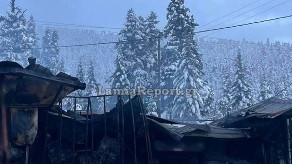 Φθιώτιδα: Κάηκε ολοσχερώς σπίτι στα Πουγκάκια - Την τελευταία στιγμή σώθηκε ηλικιωμένη