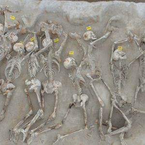 ΥΠΠΟ: Οι «Δεσμώτες» του Φαλήρου θα επιστρέψουν σε ειδικό χώρο προστασίας στο σημείο που εντοπίστηκαν