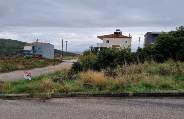 Πωλείται εξαιρετικό γωνιακό οικόπεδο στη Λαμία - Περιοχή Καλυβίων ΟΑΣΔΥ (Νέα Πολιτεία)