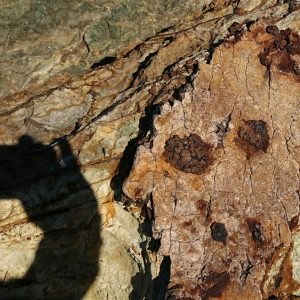 «Με Άλλο Μάτι»: Έκθεση Φωτογραφίας του Βασίλη Στουρνάρα