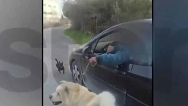Θεσσαλονίκη: Άνδρας τραβούσε τον σκύλο του μέσα από το αμάξι – Ισχυρίστηκε ότι τον πήγαινε βόλτα