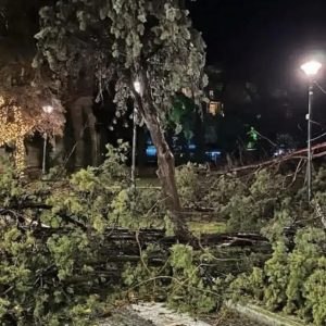 Αλεξανδρούπολη: «Από θαύμα δεν σημειώθηκαν δυστυχήματα» λέει μετεωρολόγος για τις ριπές ανέμου 154 χιλιομέτρων την ώρα