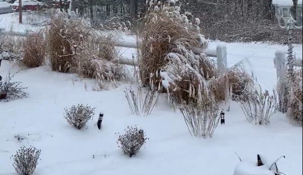ΗΠΑ: Πυκνό χιόνι και πολικό ψύχος, δεκάδες εκατομμύρια Αμερικανοί αντιμέτωποι με σφοδρή χειμερινή καταιγίδα