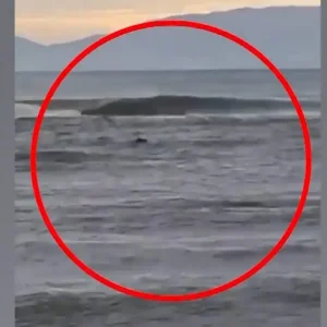 Στρυμόνας: «Πήρα την απόφαση και μπήκα» περιγράφει ο σέρφερ που έσωσε τον ψαρά που πνιγόταν