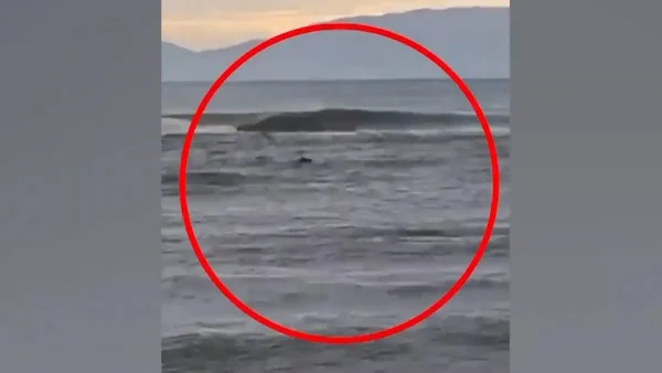 Στρυμόνας: «Πήρα την απόφαση και μπήκα» περιγράφει ο σέρφερ που έσωσε τον ψαρά που πνιγόταν