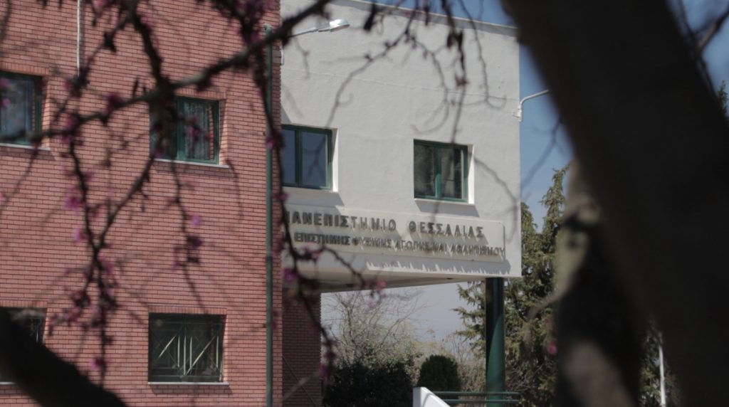 Στα κορυφαία 50-100 Τμήματα Αθλητικής Επιστήμης παγκοσμίως το ΤΕΦΑΑ του Πανεπιστημίου Θεσσαλίας