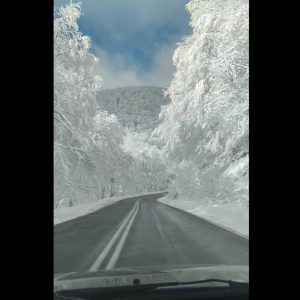 Ο μαγευτικός χιονισμένος δρόμος της Ελλάδας: Πού βρίσκεται και γιατί έγινε viral