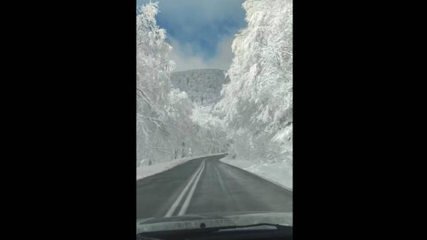 Ο μαγευτικός χιονισμένος δρόμος της Ελλάδας: Πού βρίσκεται και γιατί έγινε viral