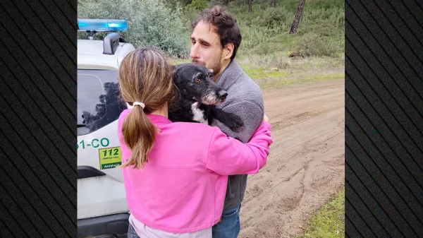 Σκύλος που αγνοούνταν μετά τη σιδηροδρομική τραγωδία στην Ισπανία διασώθηκε έπειτα από τέσσερις ημέρες