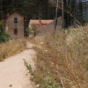 Ακαθάριστα οικόπεδα: Ποιοι κινδυνεύουν με πρόστιμα έως 5.000 ευρώ και φυλάκιση τουλάχιστον 6 μηνών