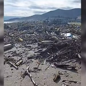 Λάρισα: Κρανίου τόπος ο Αγιόκαμπος μετά το σαρωτικό πέρασμα της κακοκαιρίας - Δείτε βίντεο