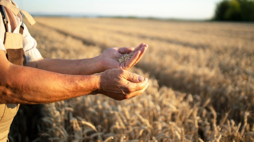 Αγρότης 86 ετών αρνήθηκε 15 εκατ. δολάρια για data center AI: «Δεν ήθελα να καταστραφεί η γη μου»