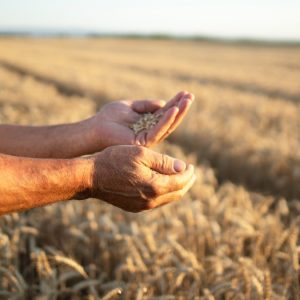 Αγρότης 86 ετών αρνήθηκε 15 εκατ. δολάρια για data center AI: «Δεν ήθελα να καταστραφεί η γη μου»