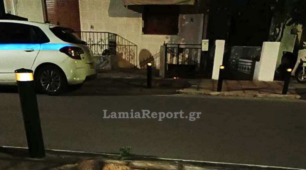 Λαμία: Τραυματισμένη αλεπού μέσα στα σπίτια - Επιχείρηση για τη διάσωσή της