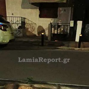 Λαμία: Τραυματισμένη αλεπού μέσα στα σπίτια - Επιχείρηση για τη διάσωσή της