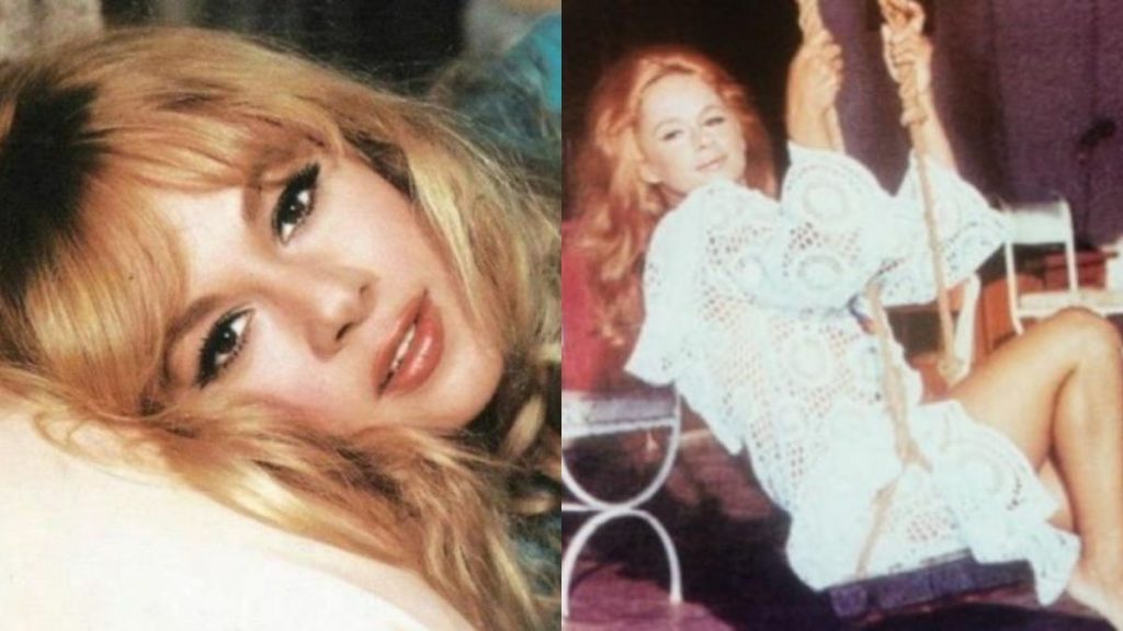 Φθιώτιδα: Αυτός είναι ο νέος ιδιοκτήτης του εξοχικού της Αλίκης Βουγιουκλάκη στον Θεολόγο