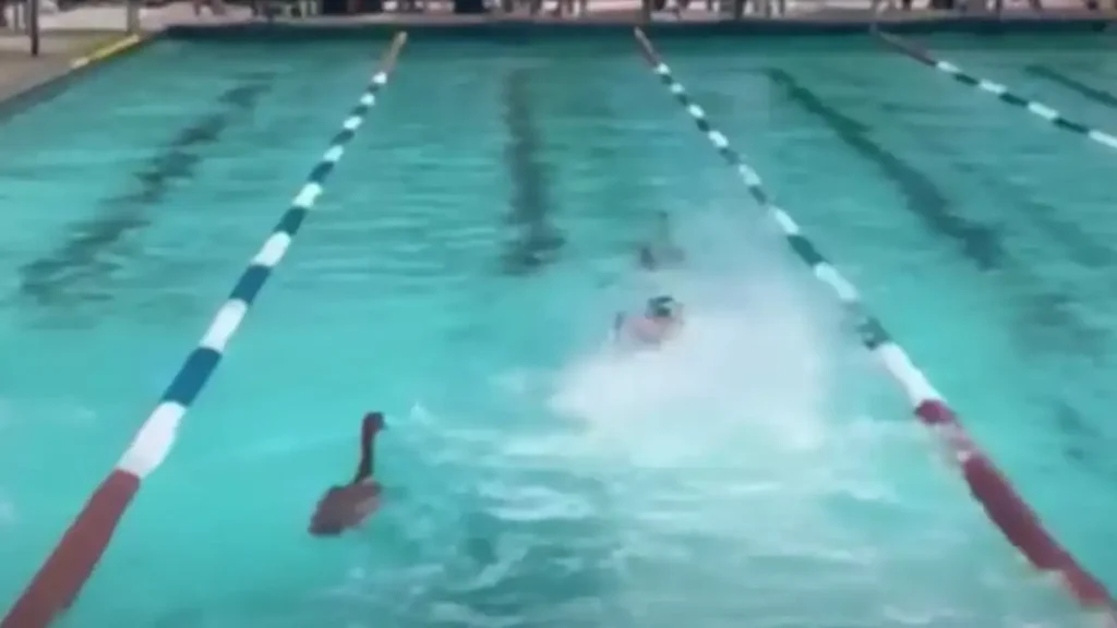Χήνες εισέβαλαν σε πισίνα κατά τη διάρκεια σχολικών αγώνων κολύμβησης στο Κέιπ Τάουν