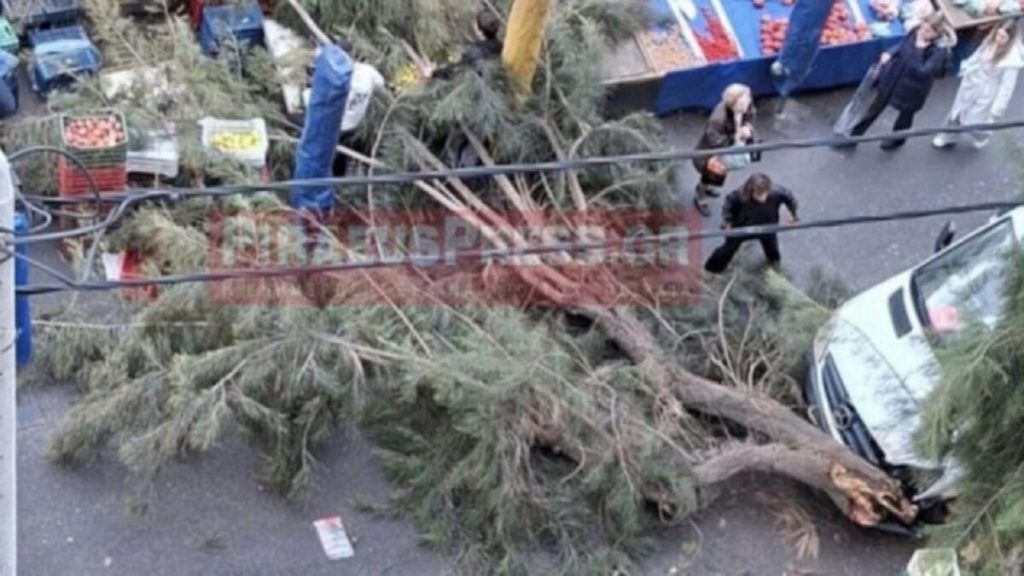 Δέντρο έπεσε σε λαϊκή αγορά στον Πειραιά – Δεν υπήρξαν τραυματισμοί