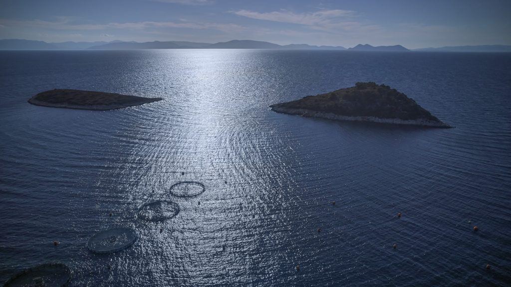 Πραγματοποιήθηκε η Ετήσια Έκθεση Υδατοκαλλιέργειας 2026