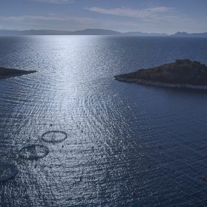 Πραγματοποιήθηκε η Ετήσια Έκθεση Υδατοκαλλιέργειας 2026