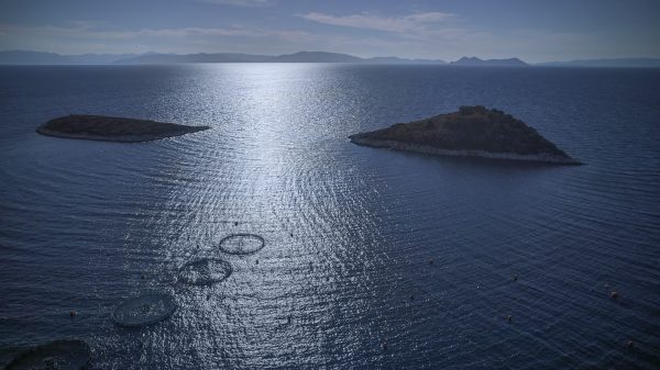 Πραγματοποιήθηκε η Ετήσια Έκθεση Υδατοκαλλιέργειας 2026