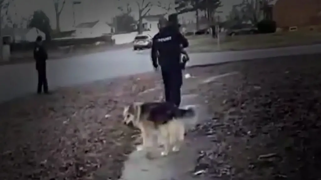 ΗΠΑ: Σκύλος ήρωας βοηθά την αστυνομία να βρει και να σώσει εξαφανισμένο 3χρονο παιδί – Βίντεο