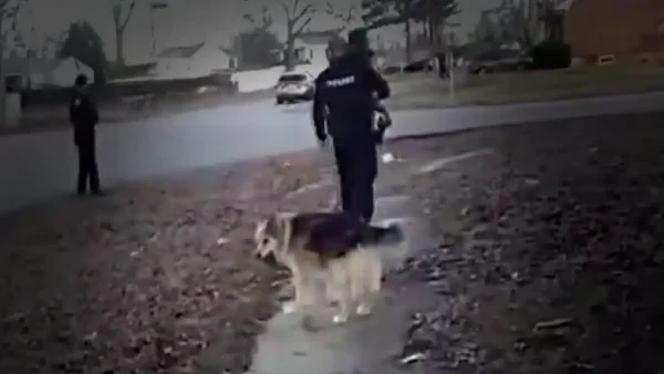 ΗΠΑ: Σκύλος ήρωας βοηθά την αστυνομία να βρει και να σώσει εξαφανισμένο 3χρονο παιδί – Βίντεο
