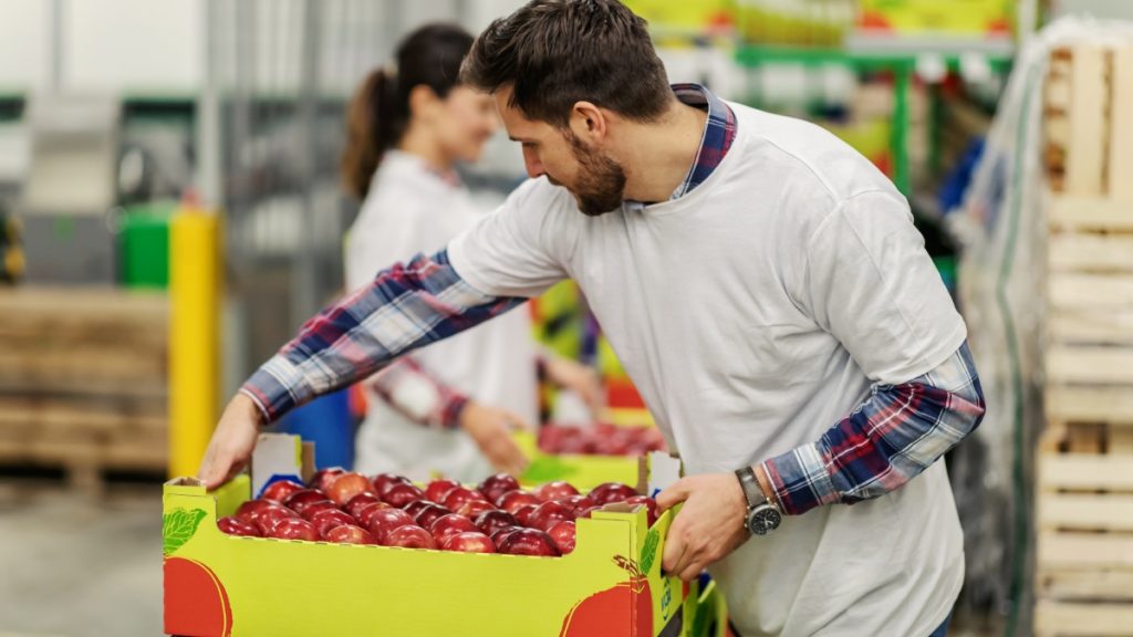 Ζητούνται εργάτες-εργάτριες στην εταιρεία «Υιοί Σ. Αγγελή & ΣΙΑ ΟΕ»
