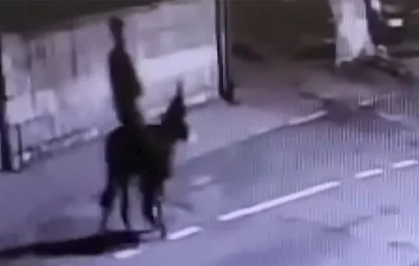 Ληστής κοσμηματοπωλείου διέφυγε με… γαϊδούρι!