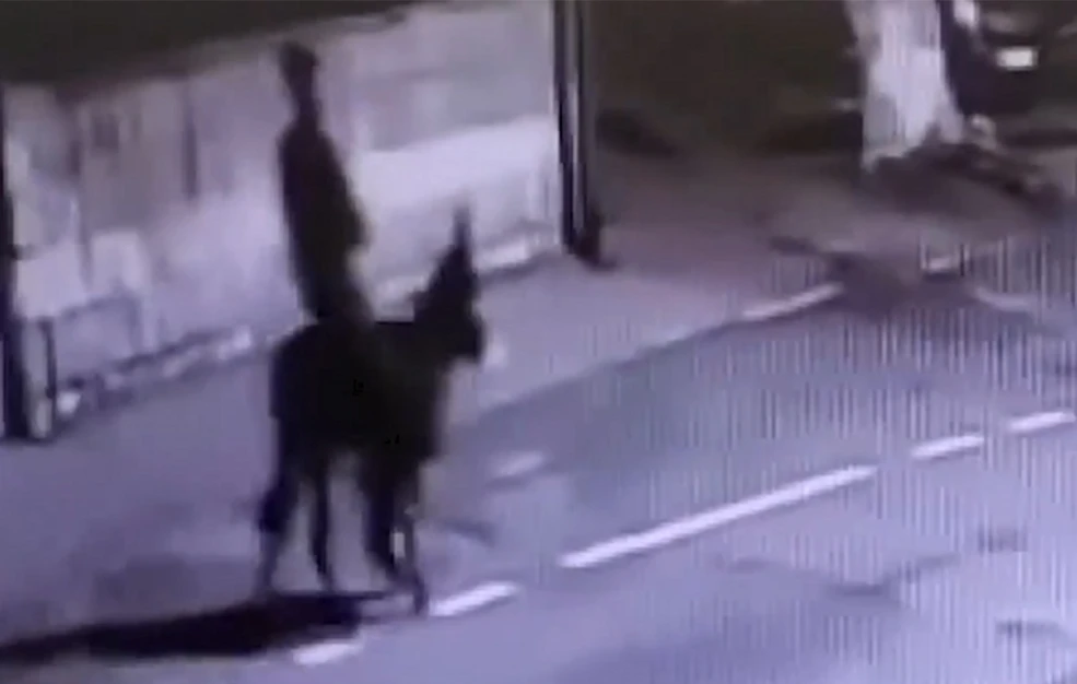 Ληστής κοσμηματοπωλείου διέφυγε με… γαϊδούρι!