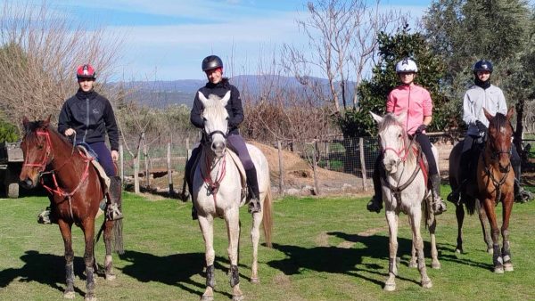 Στο Jockey Club Λαμίας αυτό το Σαββατοκύριακο οι πανελλήνιοι διασυλλογικοί αγώνες Ιππικής Αντοχής