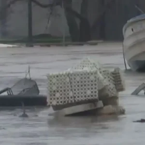 Η κακοκαιρία «έπνιξε» τα παράλια της Λάρισας – Δρόμοι και θάλασσα έγιναν ένα, ζημιές σε σπίτια και επιχειρήσεις