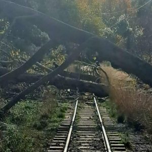 Hellenic Train: Aναστολή δρομολογίων στον Οδοντωτό Σιδηρόδρομο στο Διακοπτό – Έπεσαν δέντρα στις γραμμές