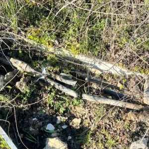 Οι έρευνες της ΕΛΑΣ για τη δολιοφθορά στα καλώδια τηλεδιοίκησης του ΟΣΕ – Τα πρώτα στοιχεία και τα ερωτήματα