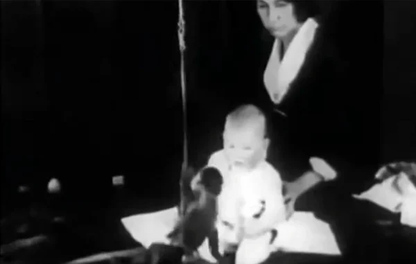 Το αγόρι που έμαθε να φοβάται: Η ιστορία πίσω από ένα από τα πιο ανήθικα πειράματα της ψυχολογίας