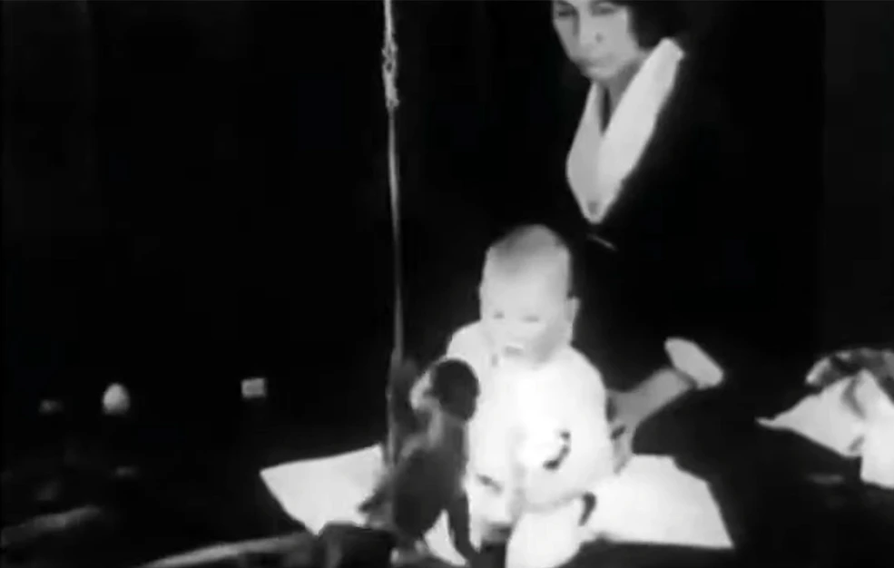 Το αγόρι που έμαθε να φοβάται: Η ιστορία πίσω από ένα από τα πιο ανήθικα πειράματα της ψυχολογίας