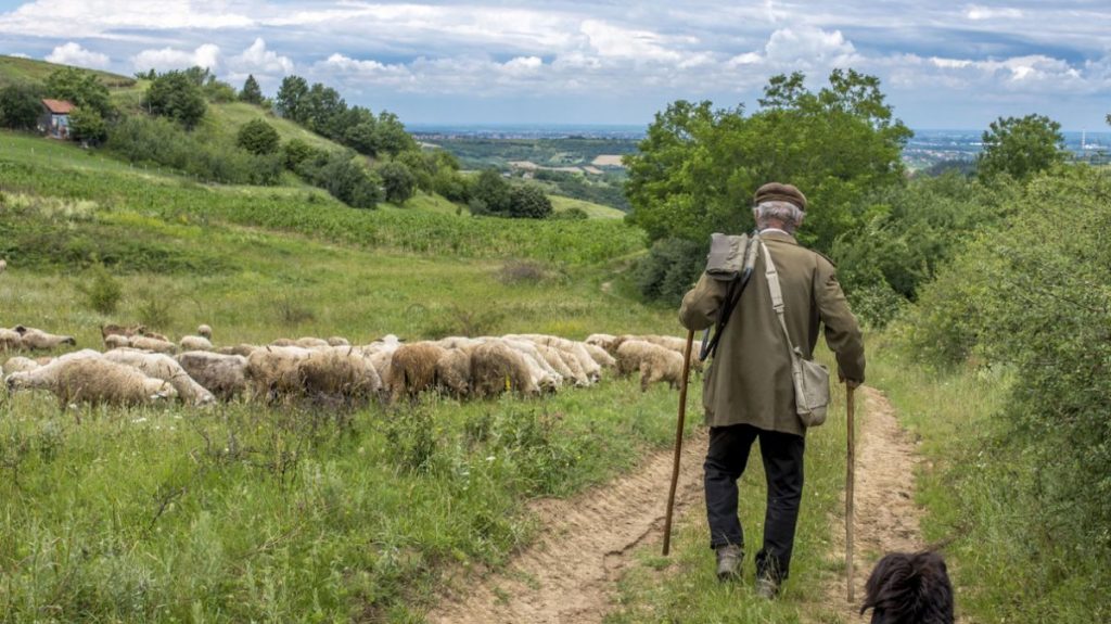 ΑΑΔΕ: Ανοίγει τη Δευτέρα η πλατφόρμα για διορθώσεις σε αιτήσεις ενίσχυσης γεωργών και κτηνοτρόφων