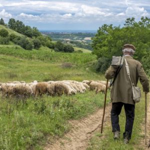 ΑΑΔΕ: Ανοίγει τη Δευτέρα η πλατφόρμα για διορθώσεις σε αιτήσεις ενίσχυσης γεωργών και κτηνοτρόφων