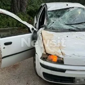 Τροχαίο δυστύχημα στη Λούτσα: «Τι έκανα;» ούρλιαζε ο ανήλικος οδηγός του μοιραίου αυτοκινήτου – Θρήνος για το 15χρονο θύμα