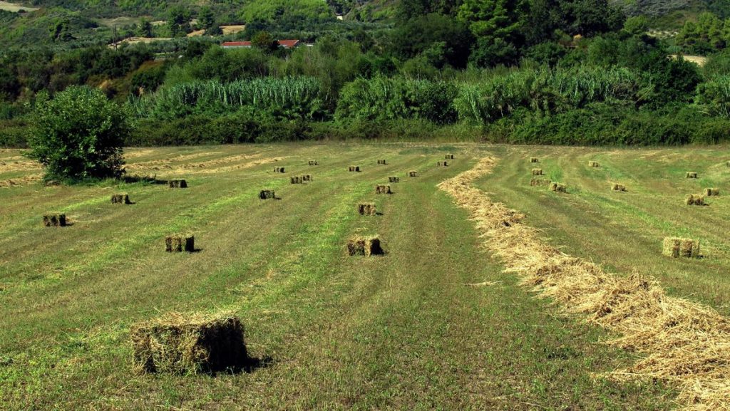 Πωλούνται μπάλες τριφύλλι στο Λιανοκλάδι