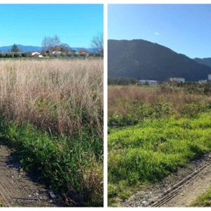 Πωλούνται δύο οικόπεδα μαζί ή και χωριστά στον Λογγό Φθιώτιδας