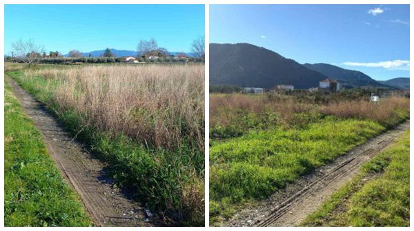 Πωλούνται δύο οικόπεδα μαζί ή και χωριστά στον Λογγό Φθιώτιδας