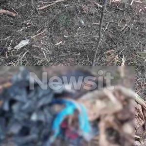 Χαλκιδική: Βρέθηκε σακούλα με ανθρώπινα οστά – «Ήταν μέσα σε βαλίτσα» περιγράφει ο πρόεδρος του Πευκοχωρίου που την βρήκε