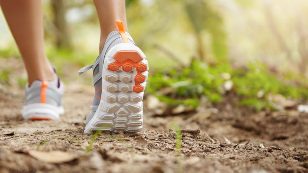 Ο ΟΜ.ΦΙ.ΔΑΣ υποδέχεται την Άνοιξη με πεζοπορία