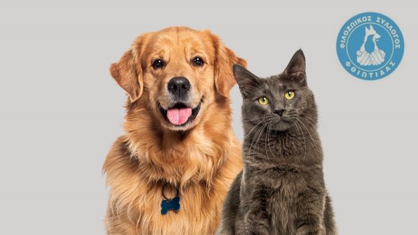 Ο Φιλοζωικός Σύλλογος Φθιώτιδας κόβει αύριο την πίτα του