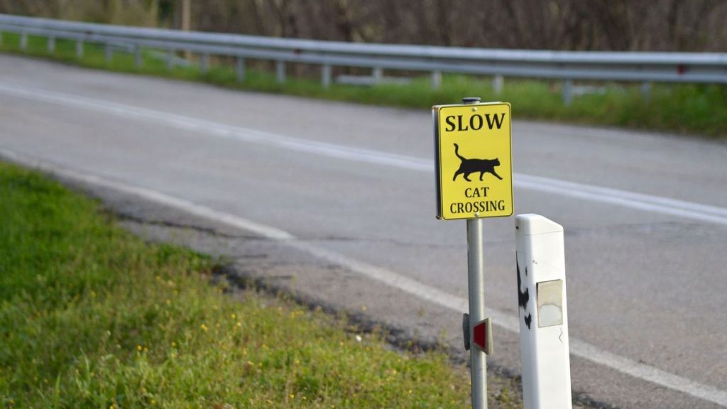 Έβαλαν ταμπέλες στην εθνική οδό Λαμίας - Καρπενησίου για να προσέχουν οι οδηγοί τις γάτες