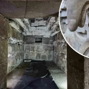 «Η σημαντικότερη ανακάλυψη της δεκαετίας»: Τάφος 1.400 ετών με κουκουβάγια θεωρείται εύρημα - σταθμός