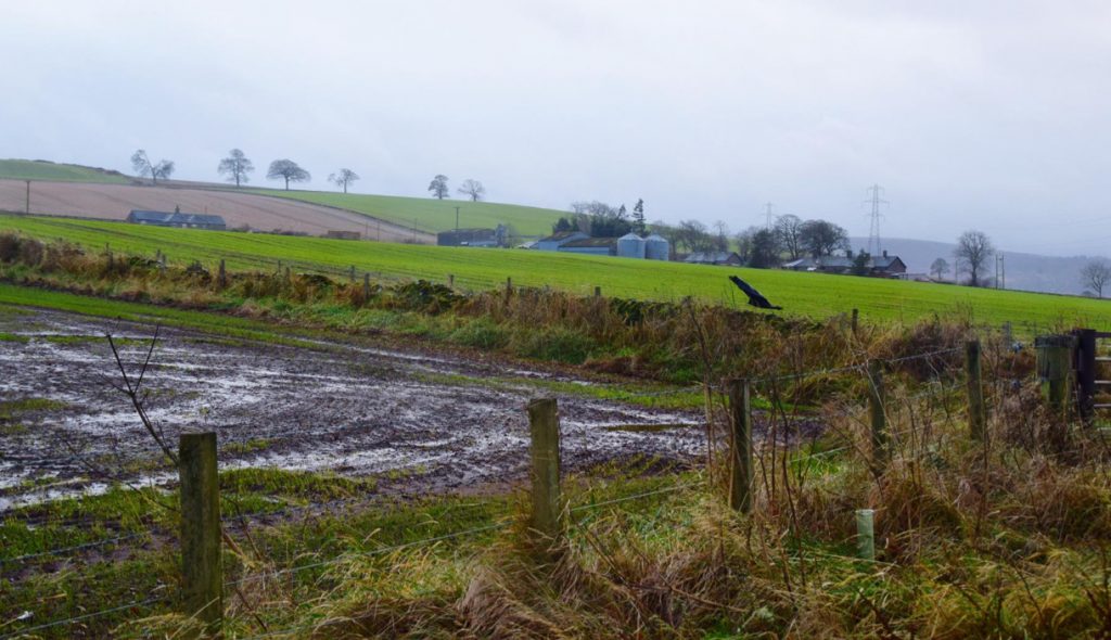 Ήπειρος: Φούσκωσε ο Λούρος από τις βροχοπτώσεις και καλλιέργειες βυθίστηκαν στο νερό