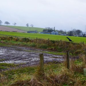 Ήπειρος: Φούσκωσε ο Λούρος από τις βροχοπτώσεις και καλλιέργειες βυθίστηκαν στο νερό